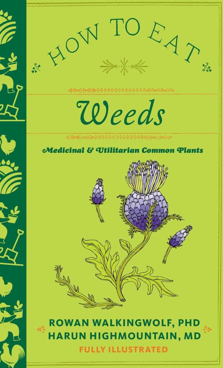 How to Eat Weeds: Medicinal & Utilitarian Common Plants