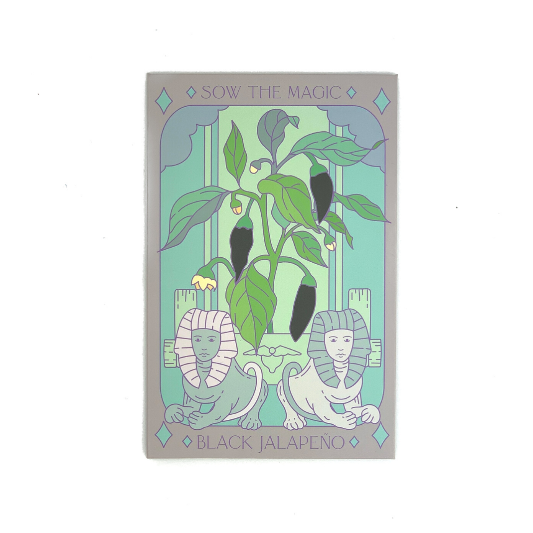 Seed Packet- Black Hungarian Jalapeño Tarot Garden + Gift