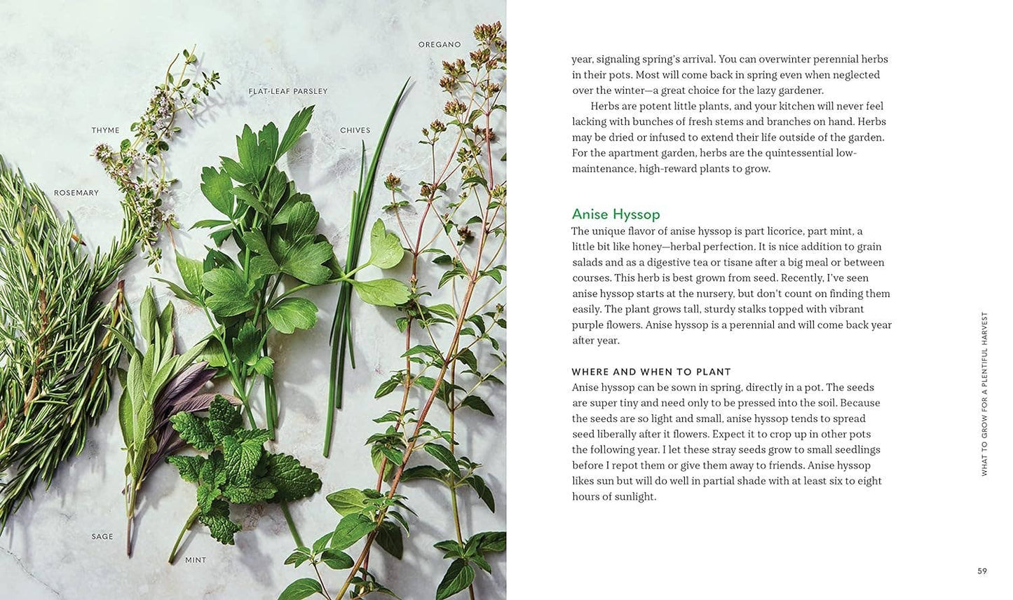 Tiny Space Gardening: A Guide to Urban Farming (Unique Gift)