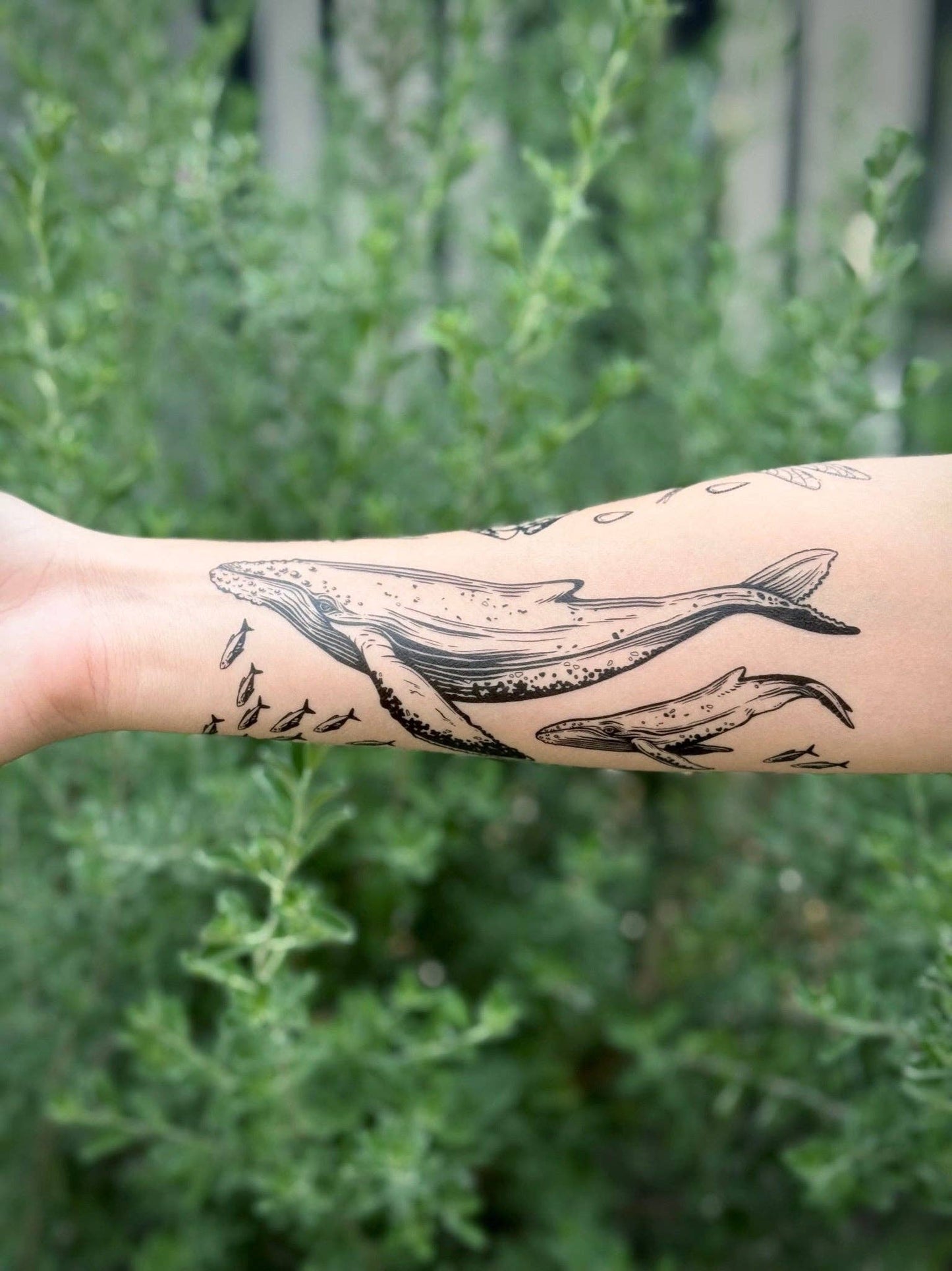 Blue Whale Temporary Tattoo