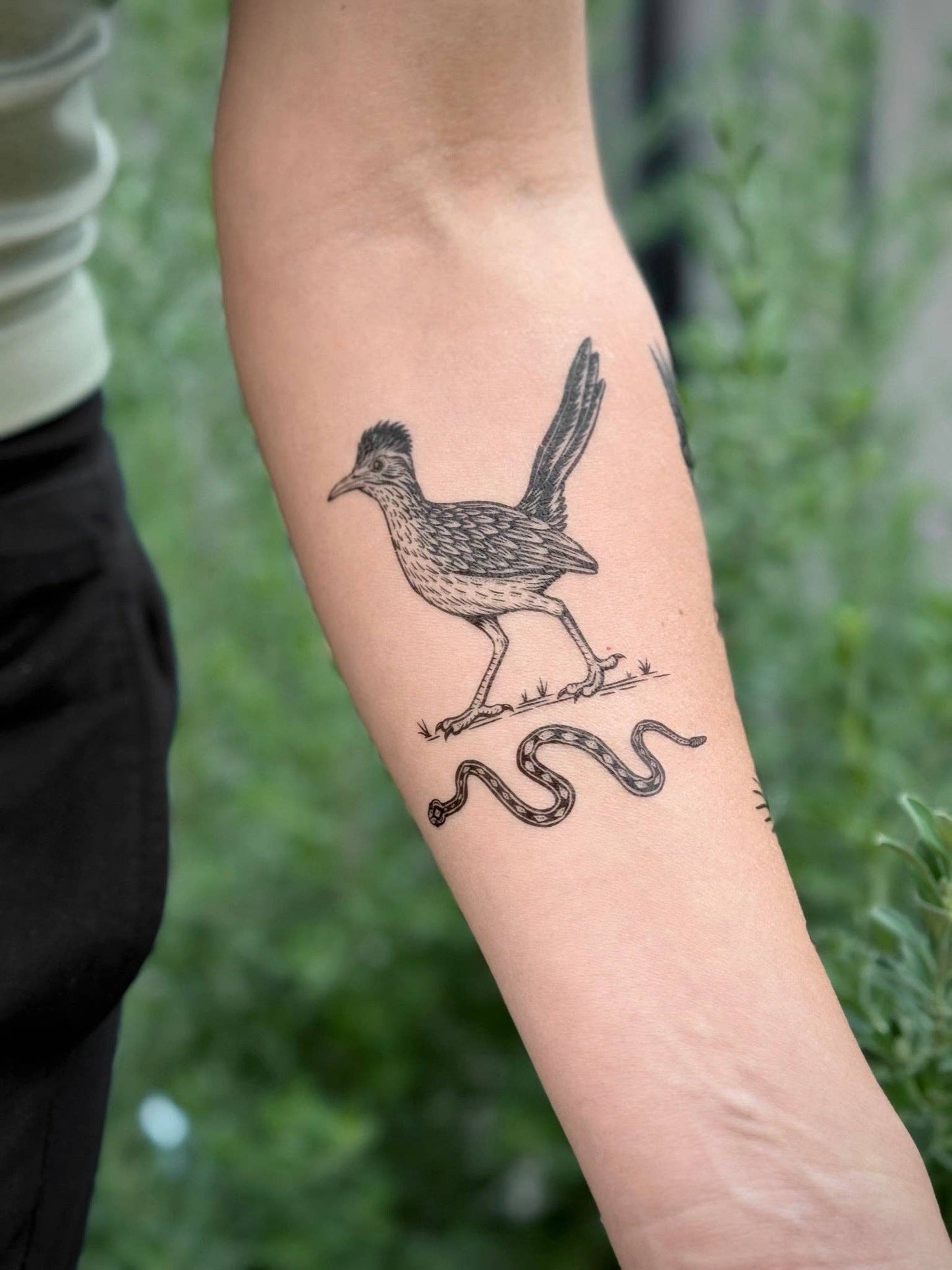 Roadrunner Temporary Tattoo