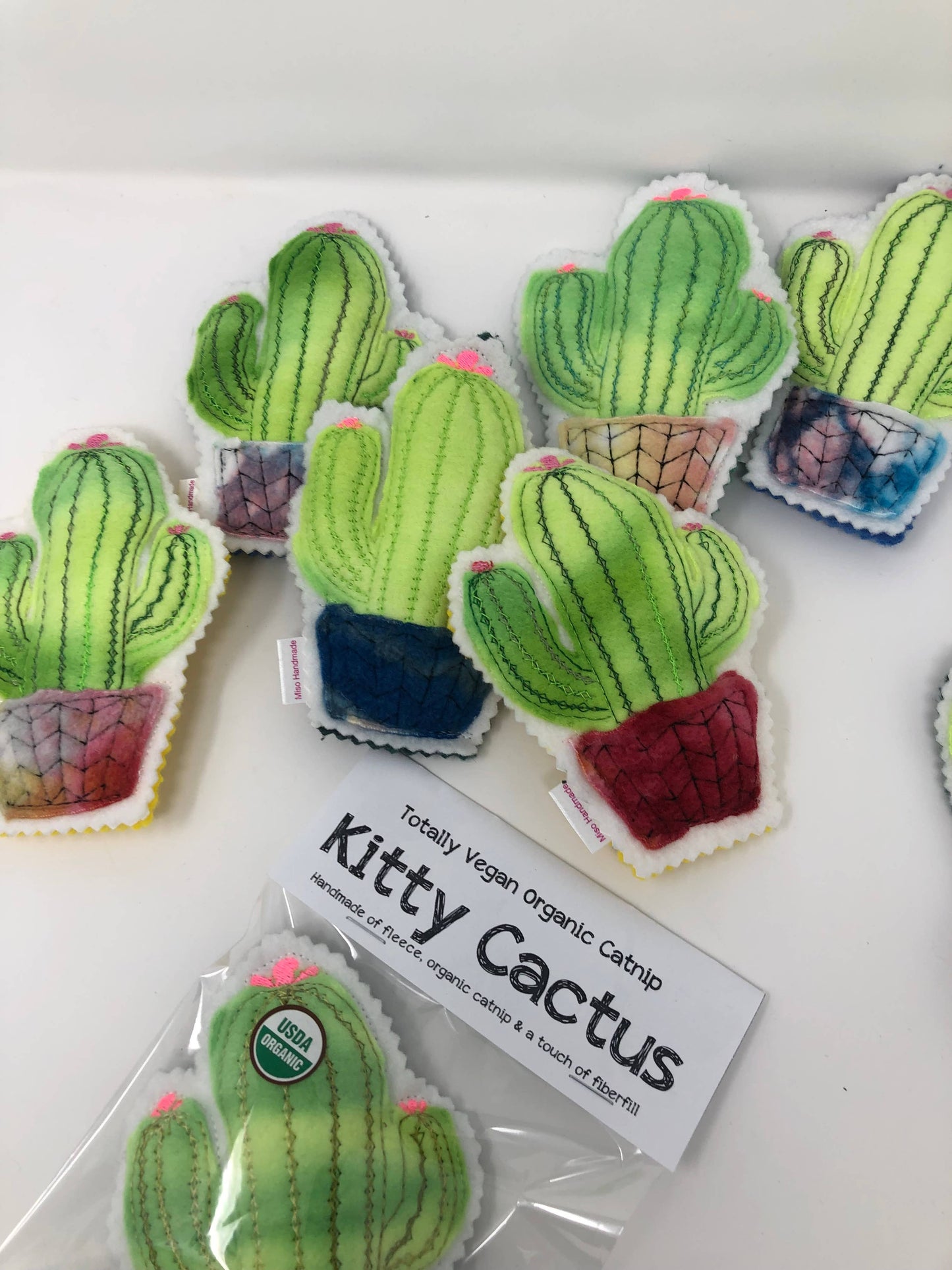 Catnip Cactus 