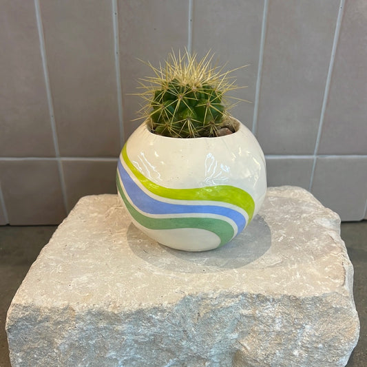 Cactus- White round planter with blue and green lines