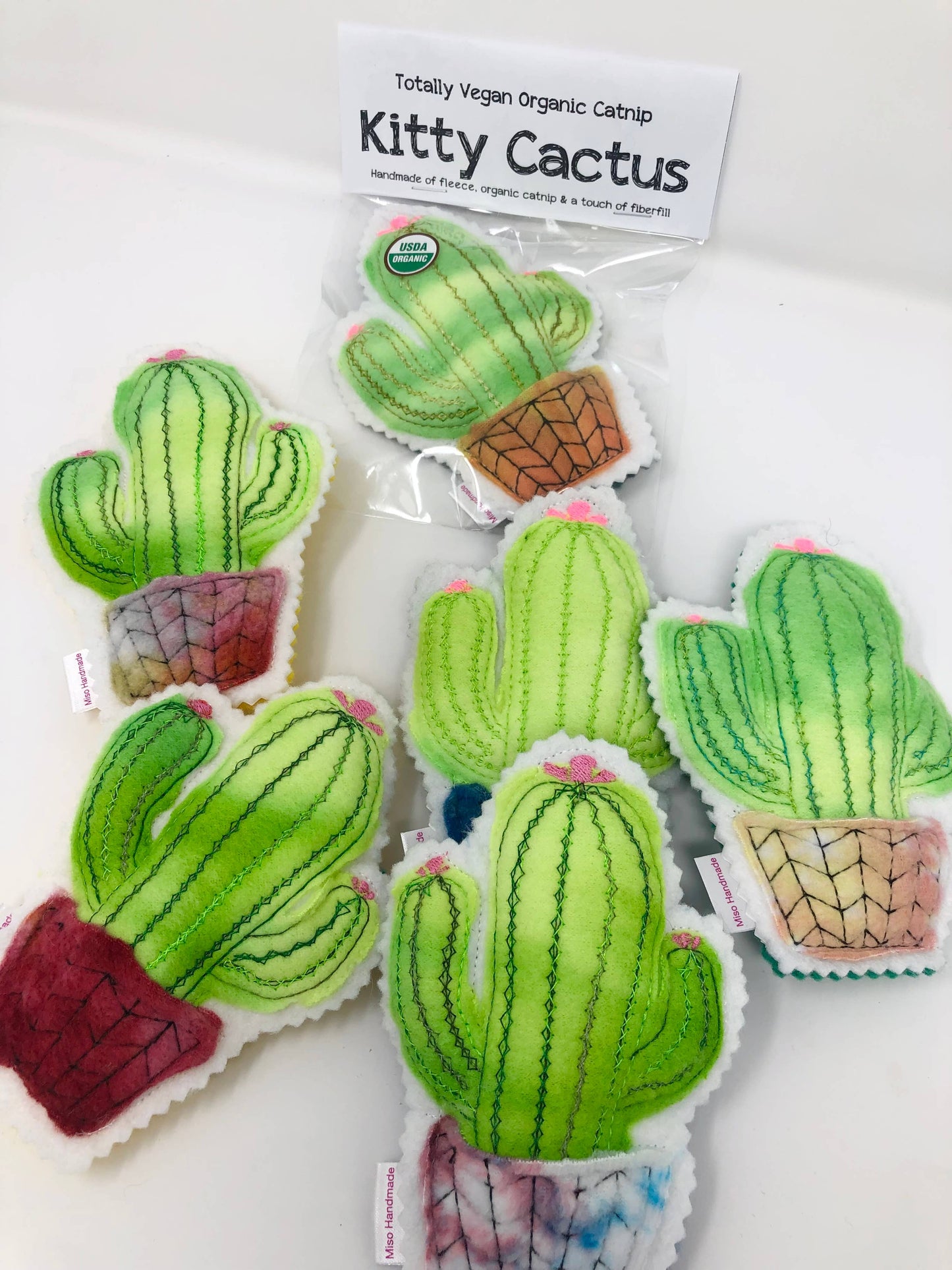 Catnip Cactus 