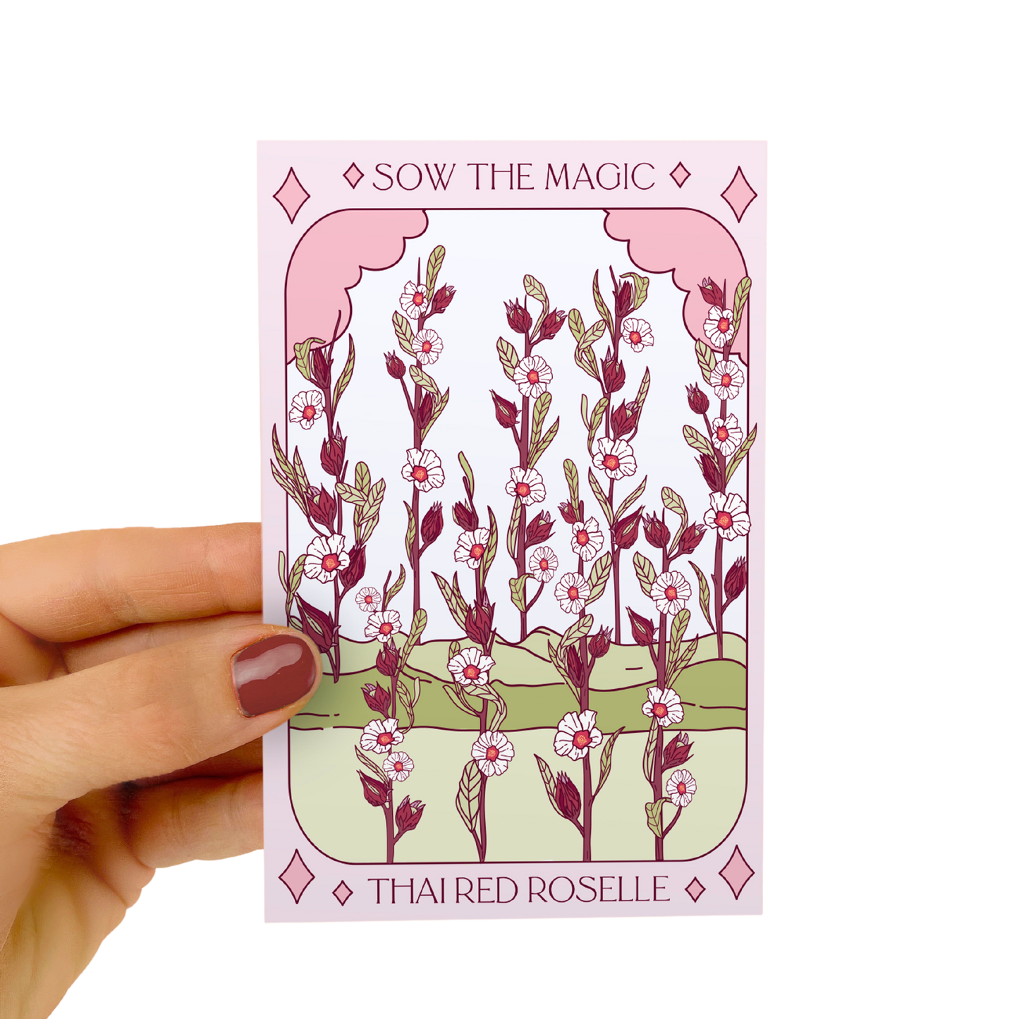 Seed Packet- Thai Red Roselle Hibiscus Tarot Garden + Gift