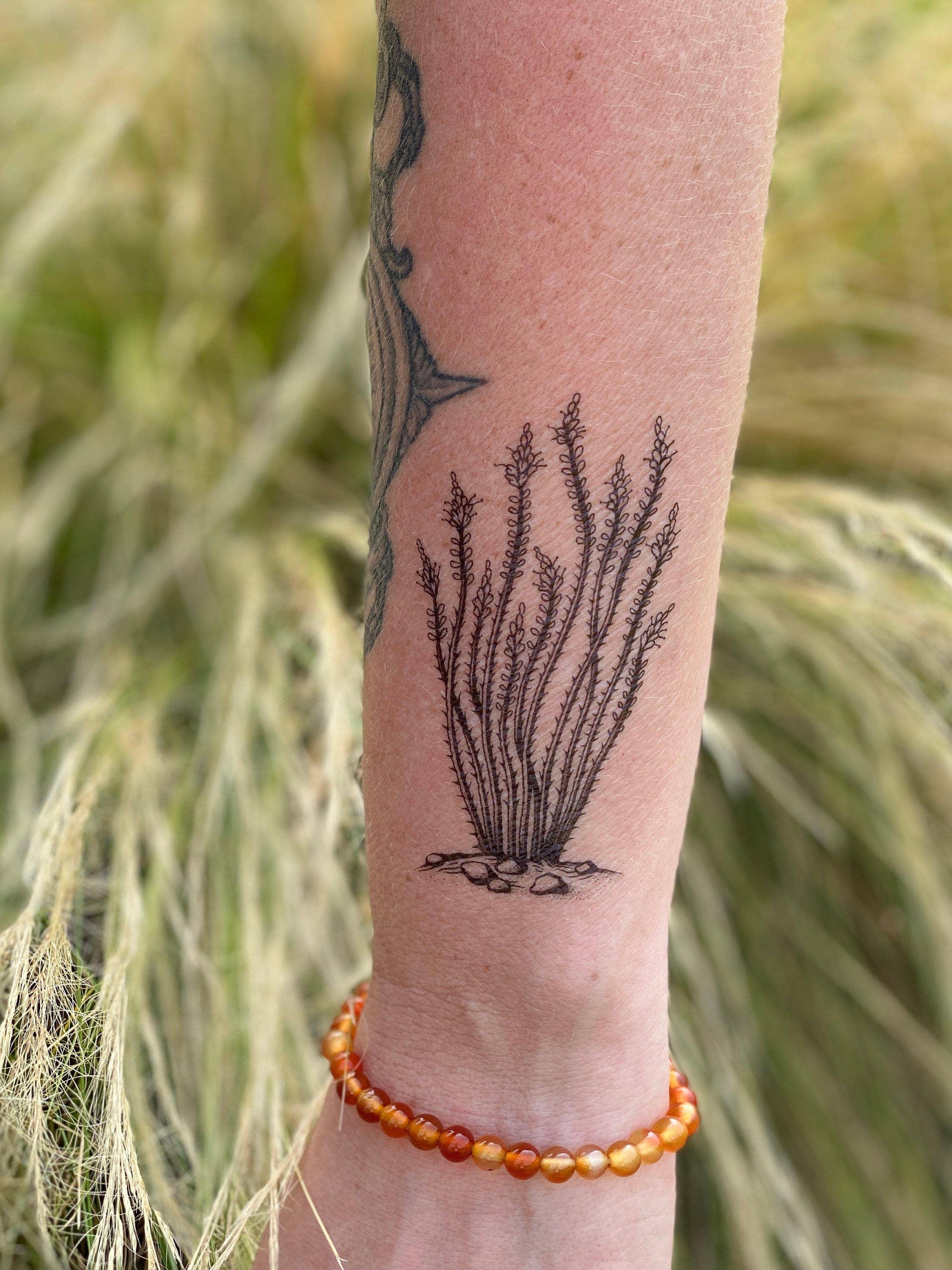 NatureTats Ocotillo Temporary Tattoo