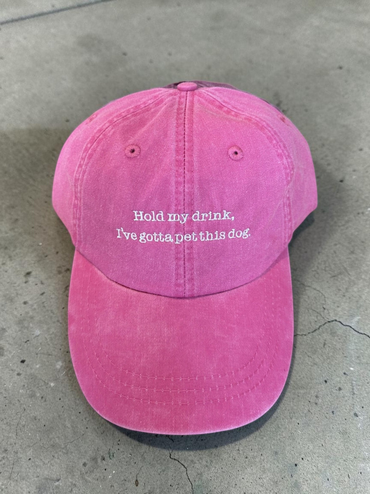Hold My Drink, I've Gotta Pet This Dog Baseball Cap