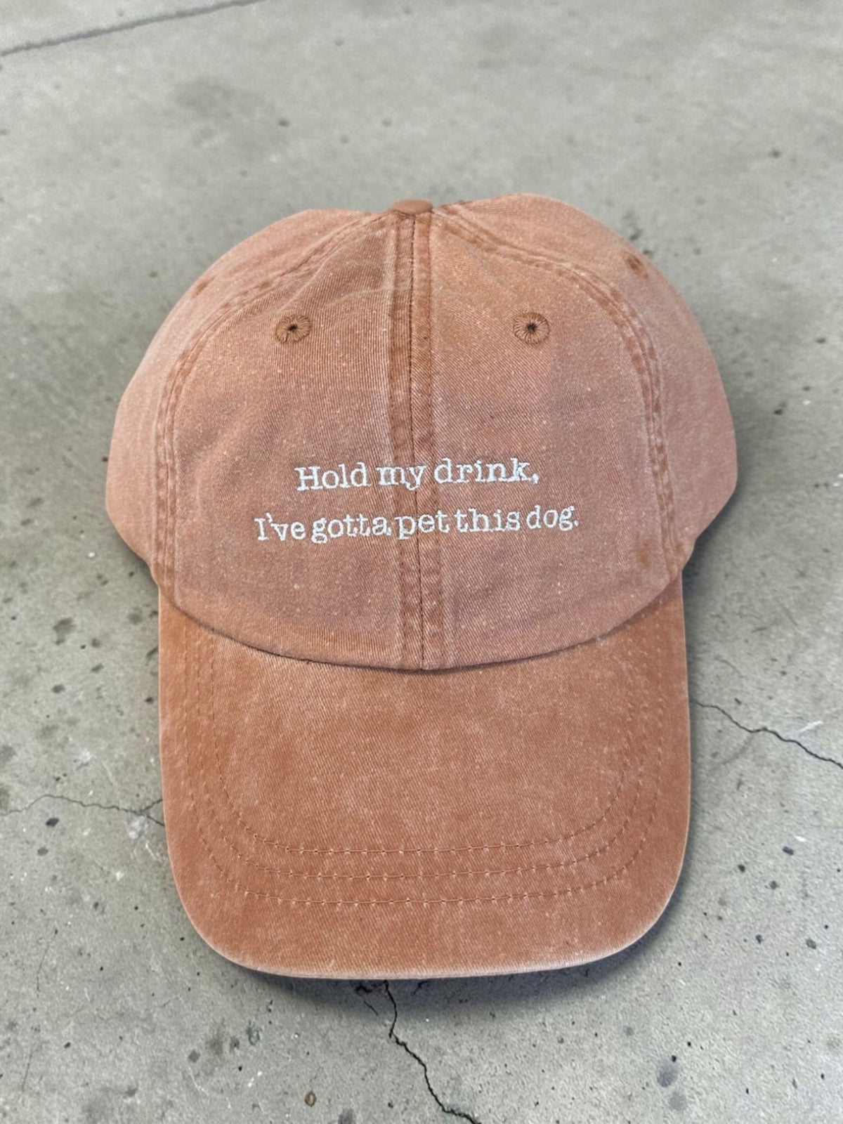 Hold My Drink, I've Gotta Pet This Dog Baseball Cap