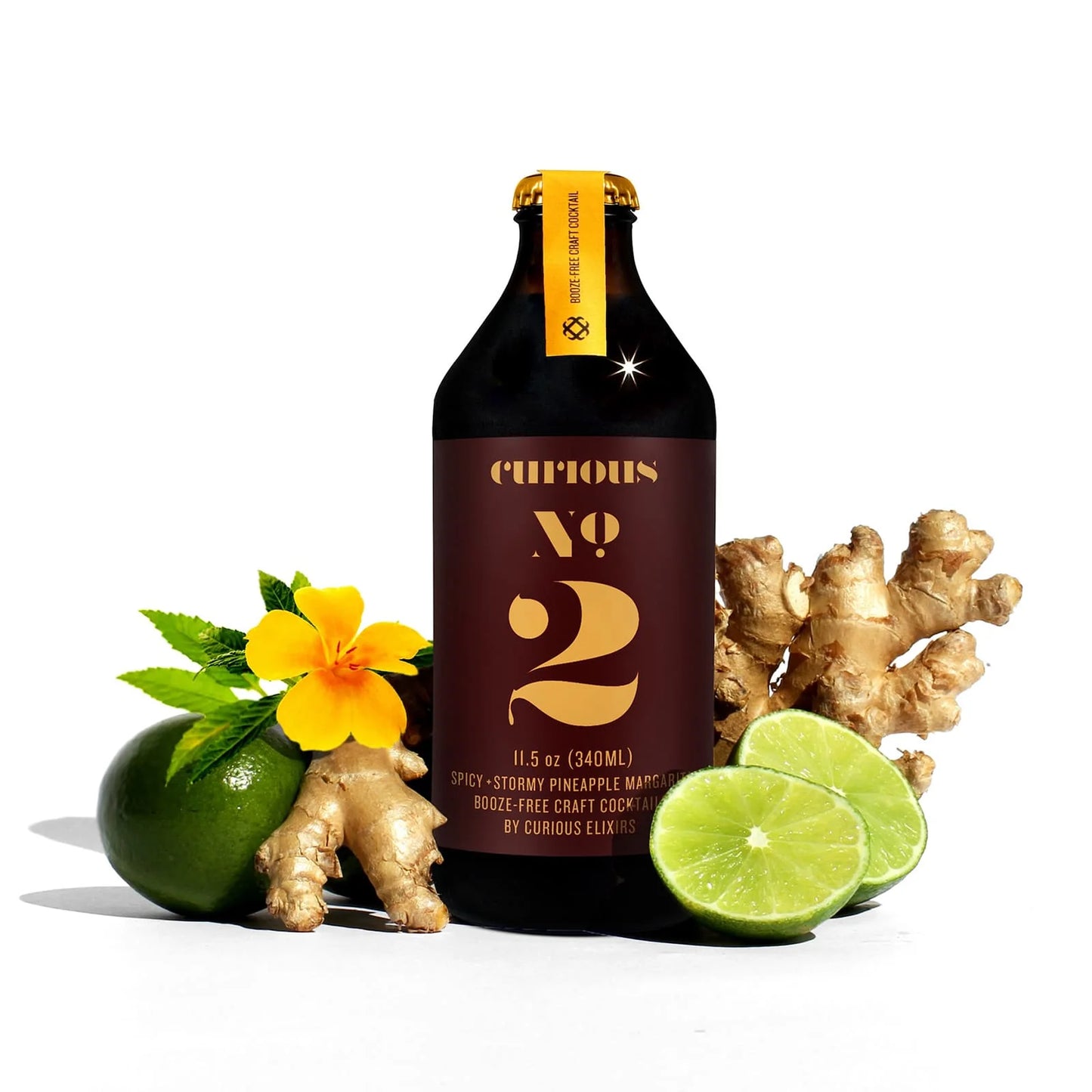 No. 2 - Spicy Pineapple Ginger Margarita
