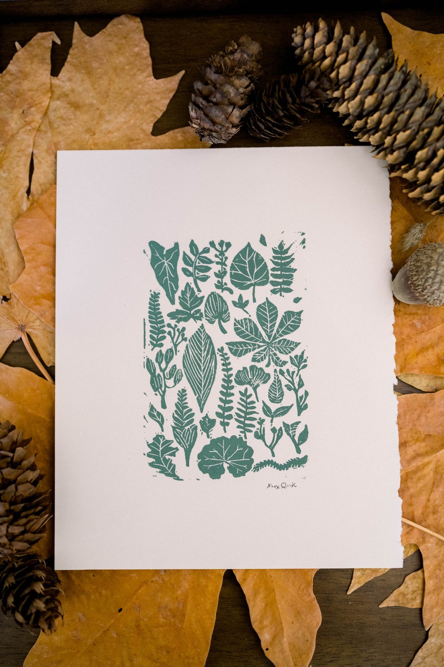Woodland Prints by Works of a Quirk (8”x10”)