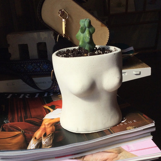 Boobie planter with boobie cactus
