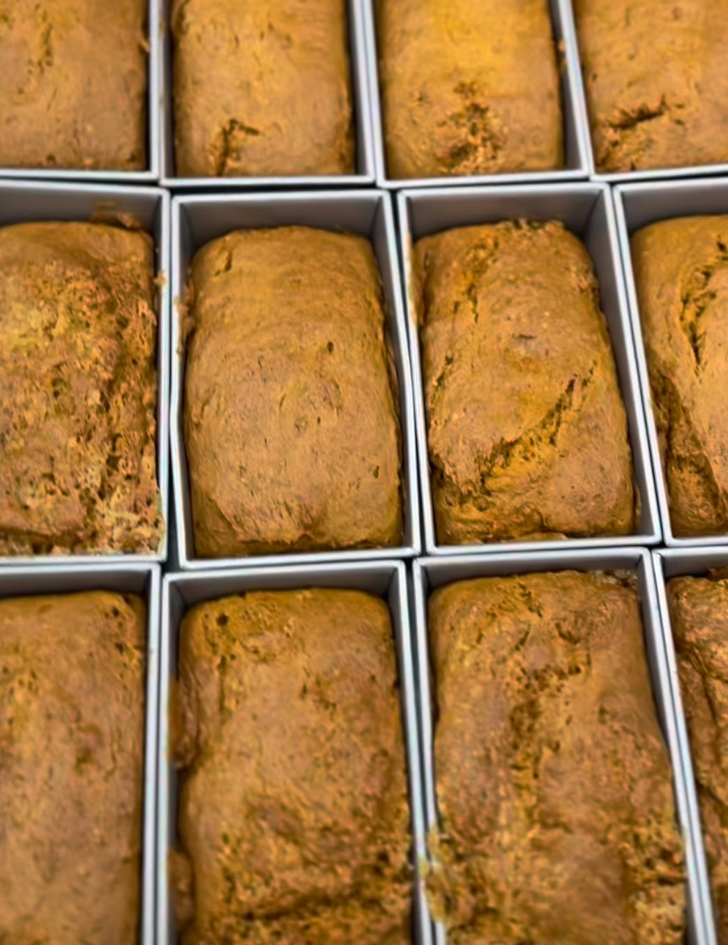 Pumpkin Bread - SCG