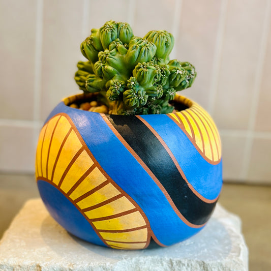 Succulent - Large- blue, black + gold waves