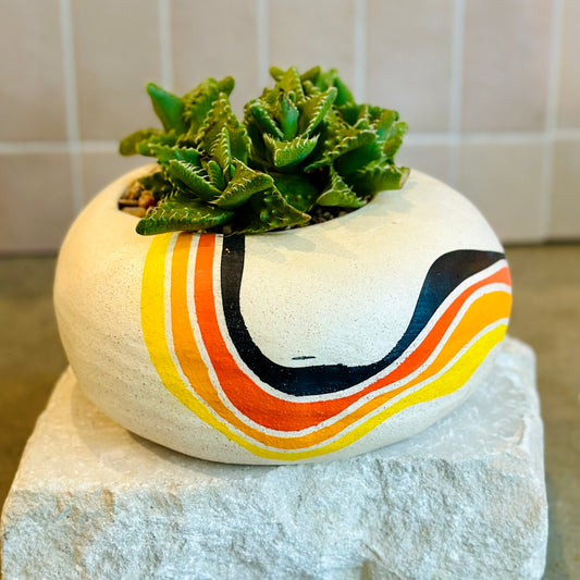 Succulent - Medium Oval planter w/ wavy lines