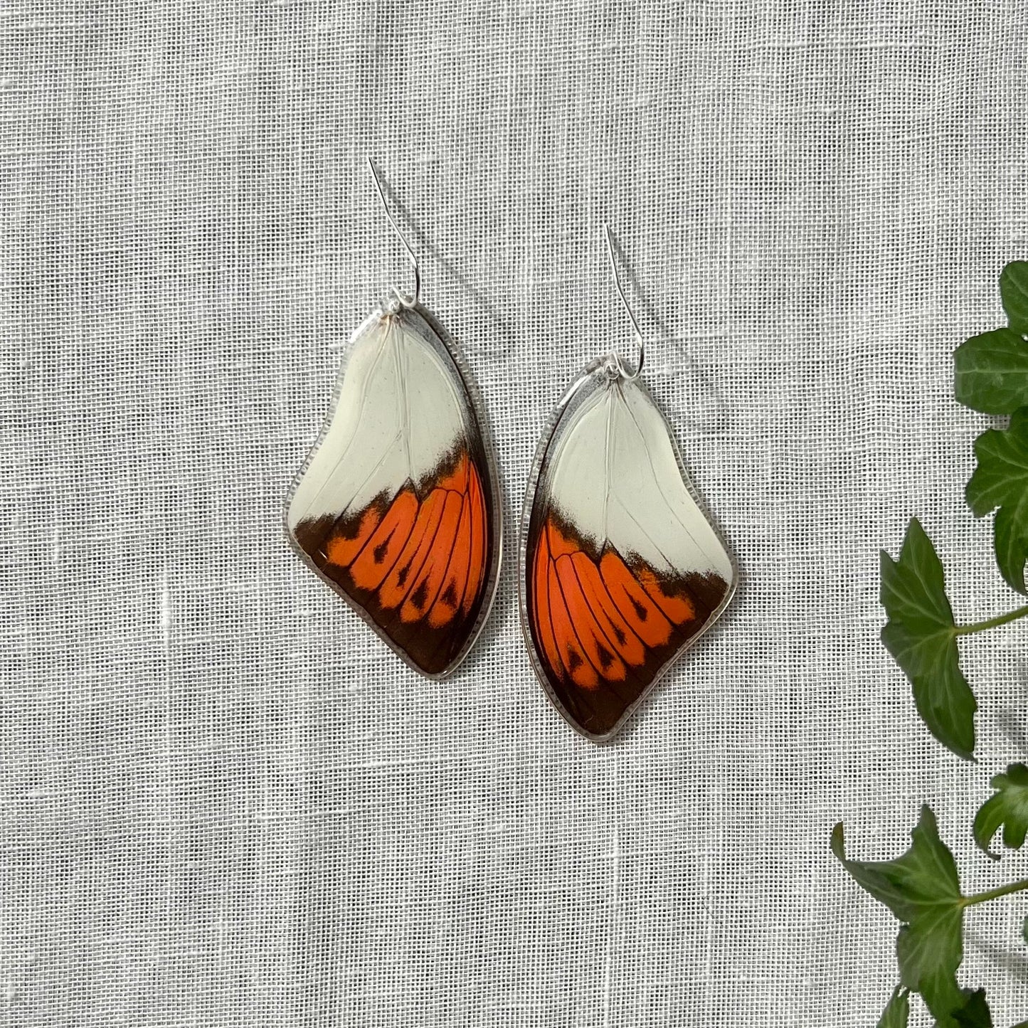 Butterfly Earrings