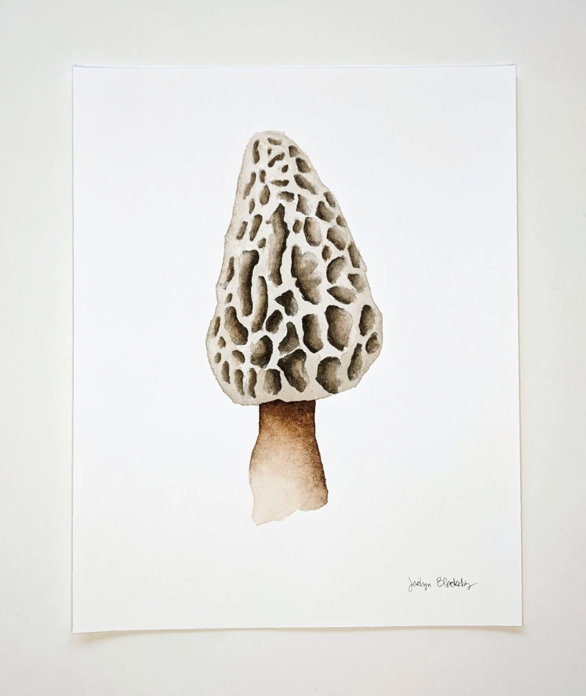 Mushroom Prints 8”x10”