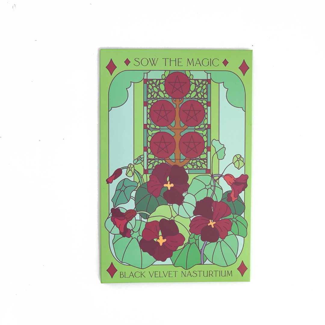 Seed Packet- Black Velvet Nasturtium Tarot Garden + Gift