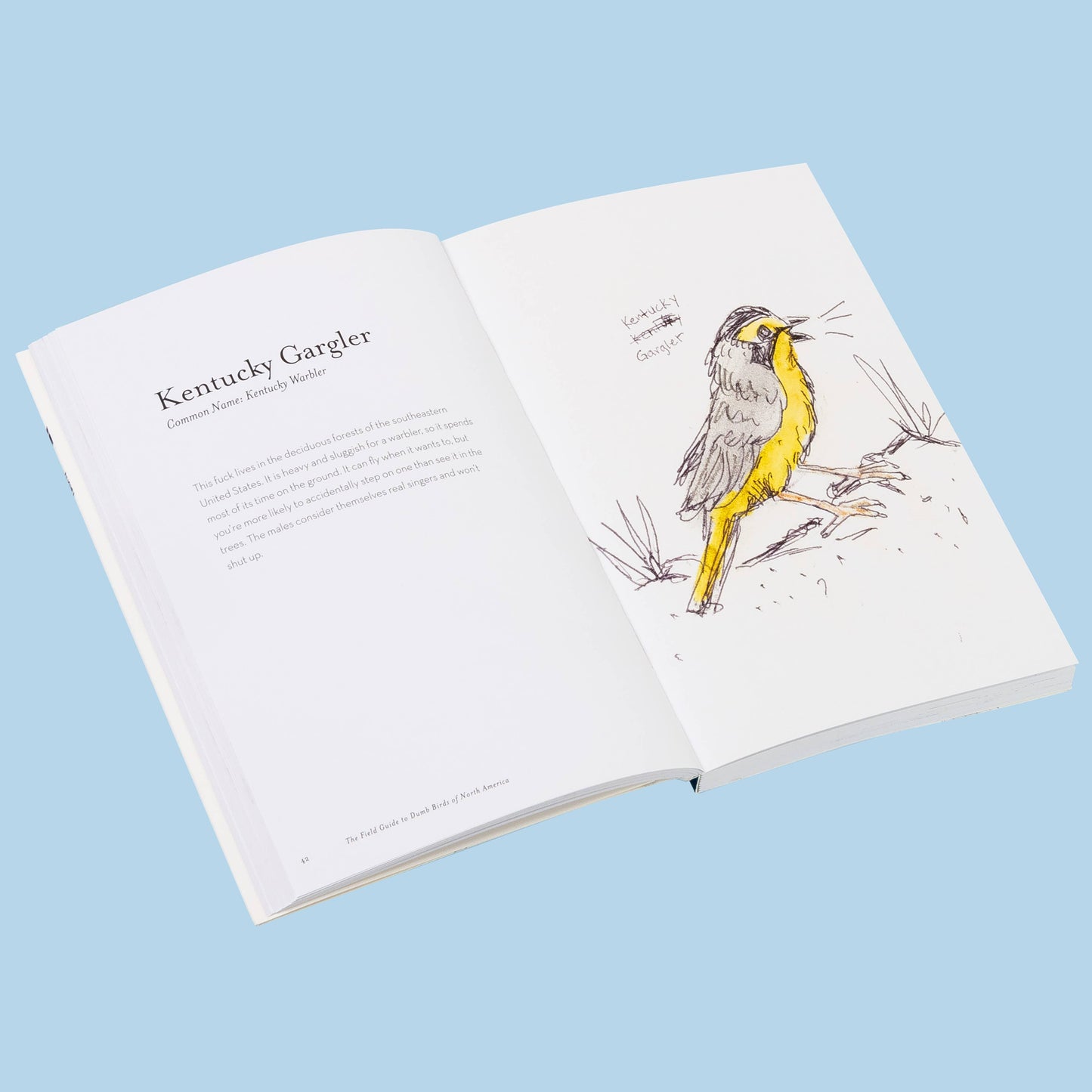 The Field Guide to Dumb Birds of America