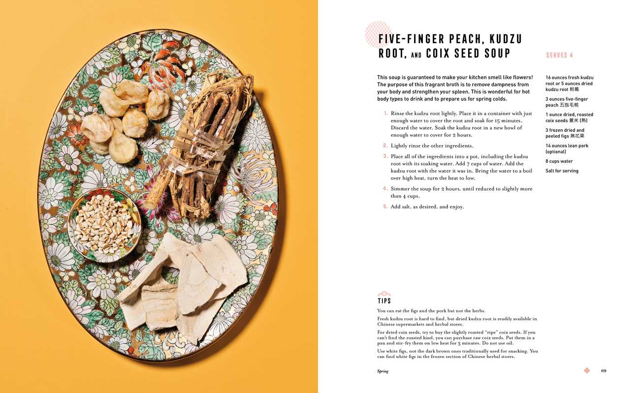 Healing Herbal Soups by Rose Cheung