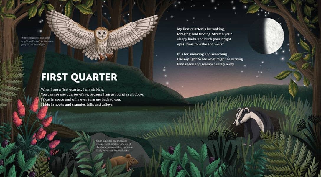 Wild Moon: How the Lunar Phases Light Up Our World