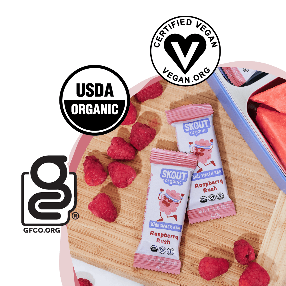 Raspberry Rush Kids Snack Bar - Skout Organic