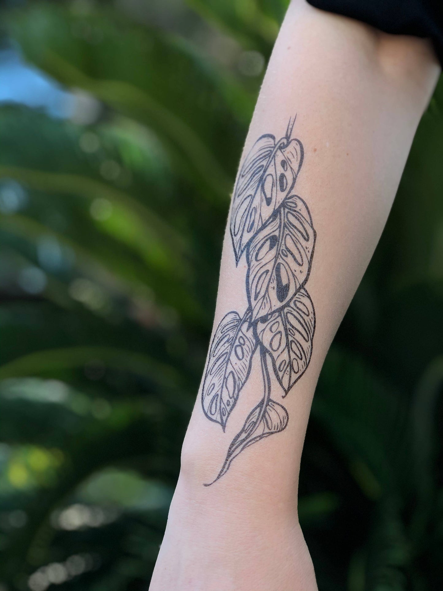 Monstera Vine Temporary Tattoo