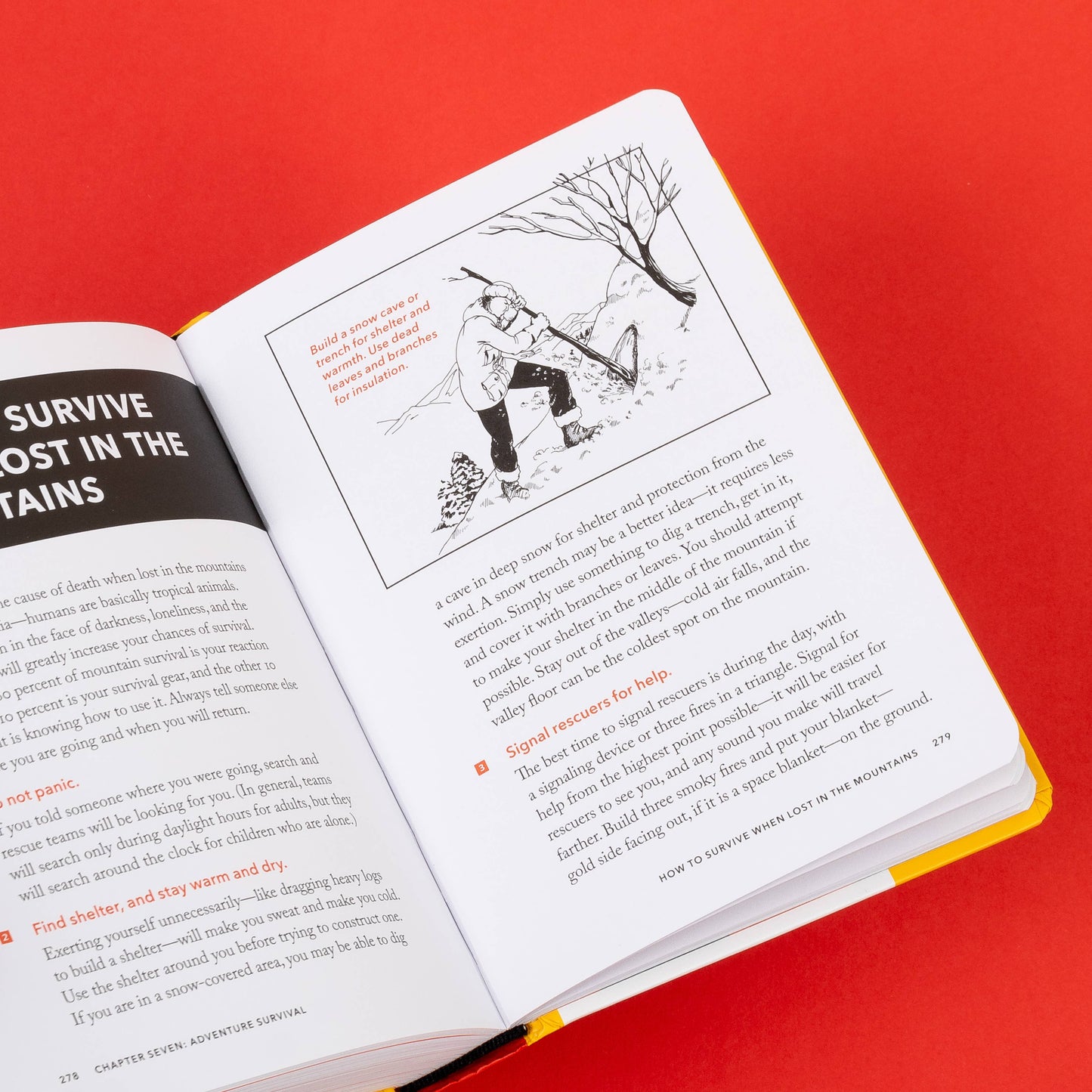 The NEW Worst-Case Scenario Survival Handbook