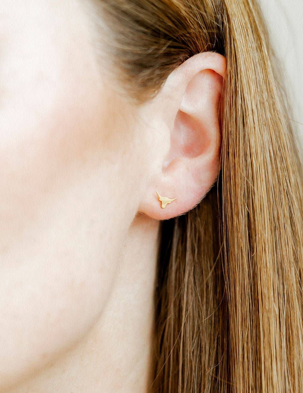 Screwback Stud Earrings - Texas Steer Gold