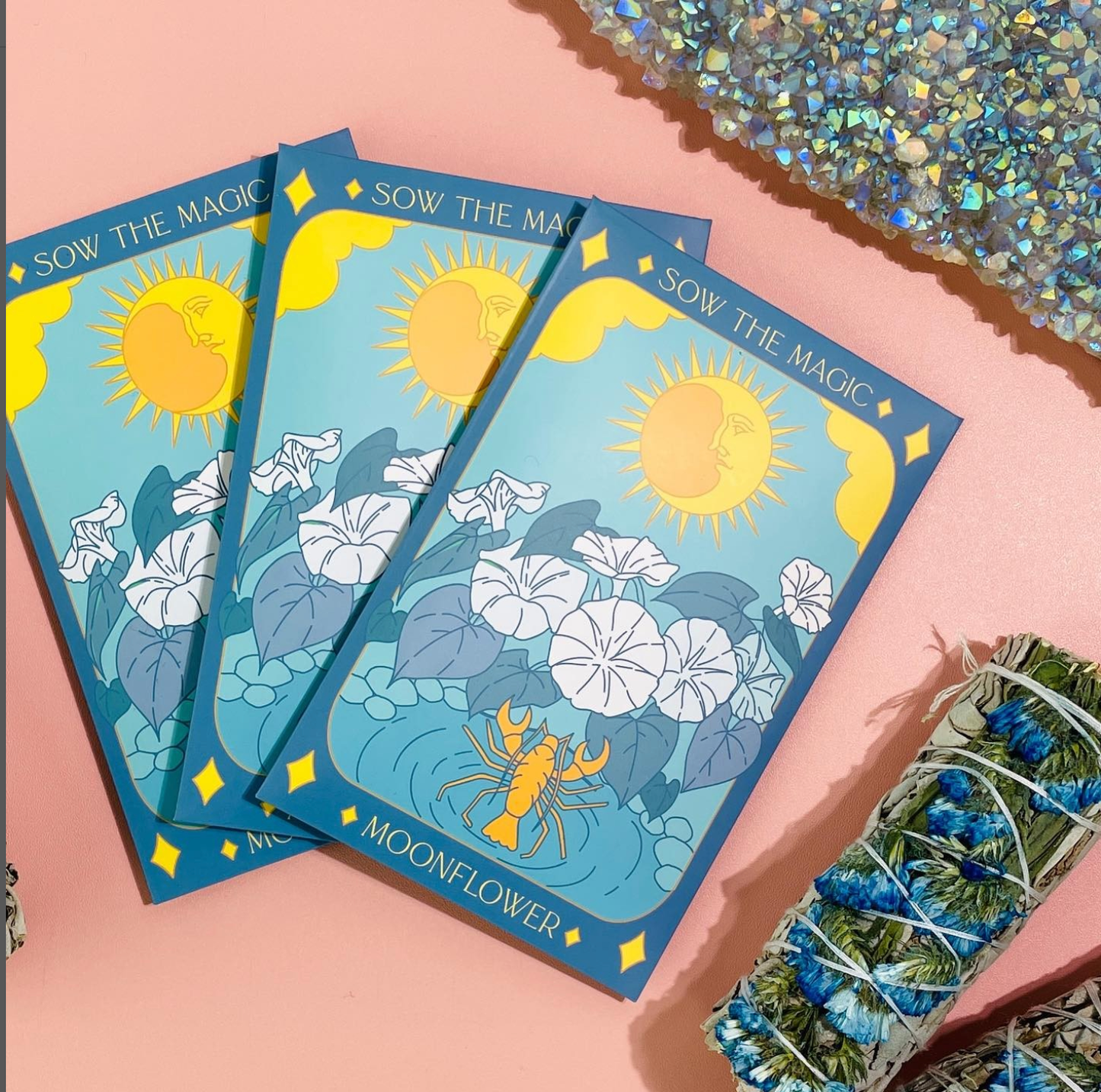 Seed Packet- Moonflower Garden + Gift