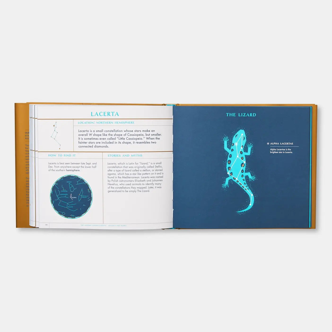 Seeing Stars: A Complete Guide To The 88 Constellations