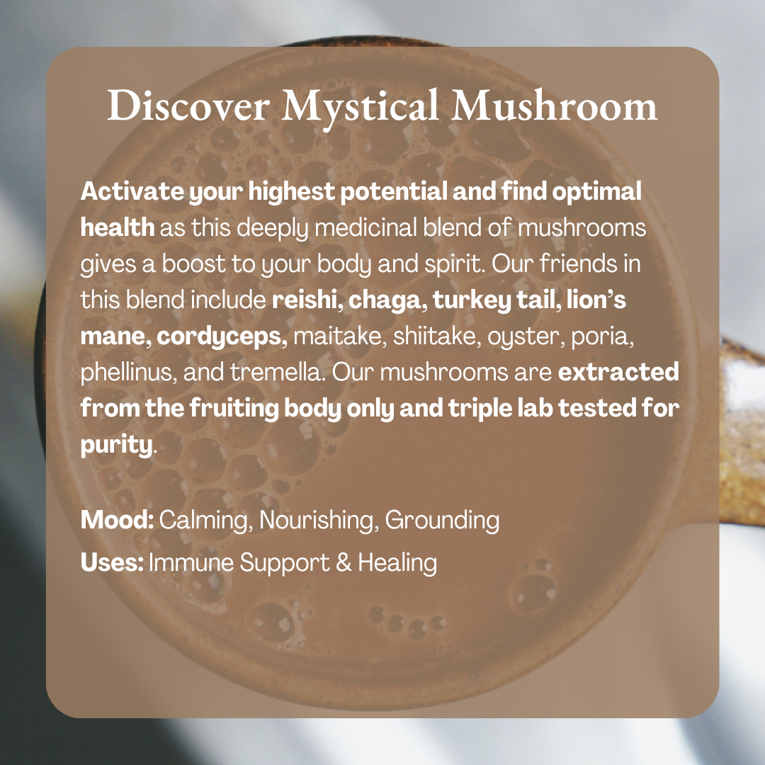 Ceremonial Cacao 1oz Sachet | Mystical Mushroom 100% Organic