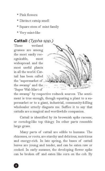 How to Eat Weeds: Medicinal & Utilitarian Common Plants