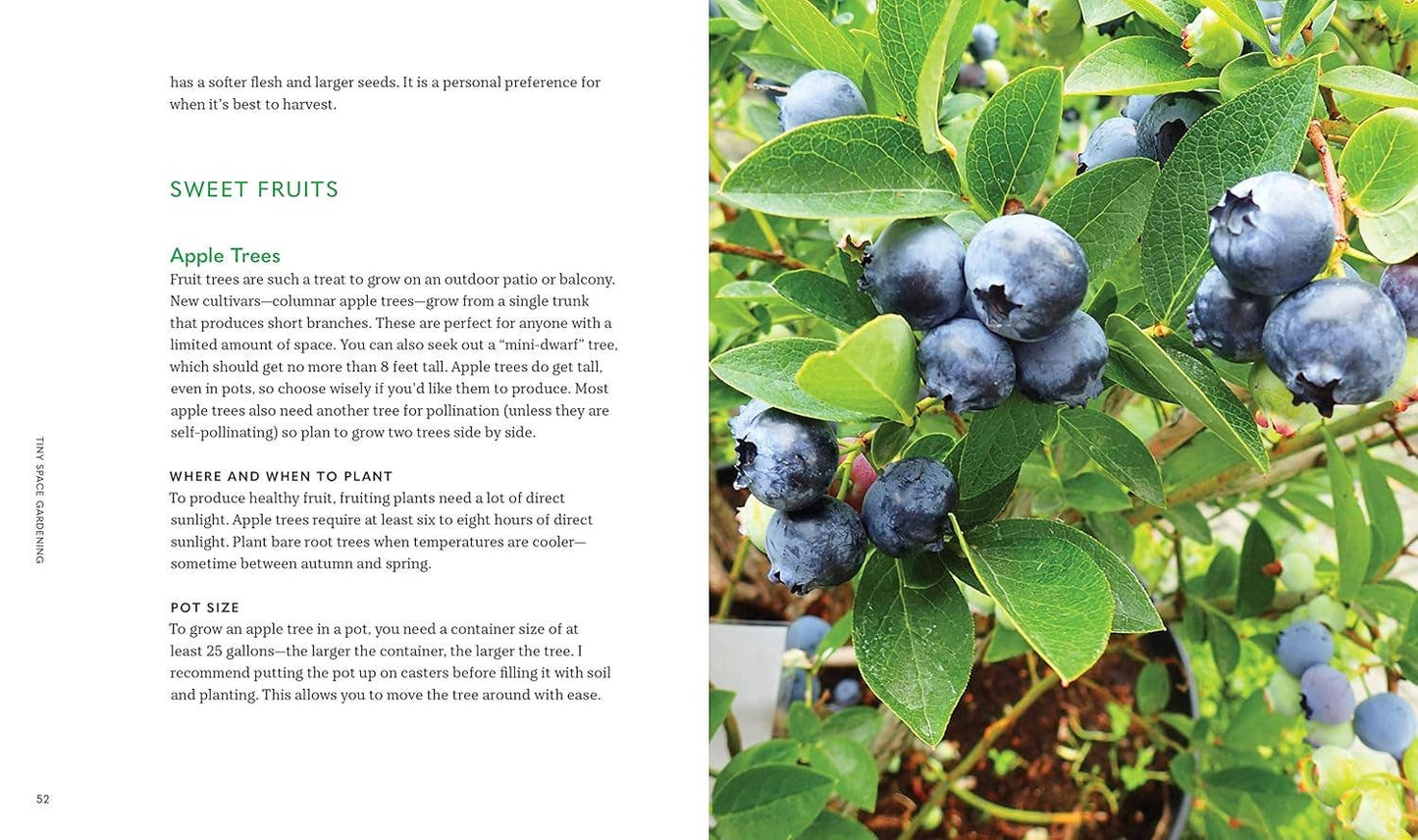 Tiny Space Gardening: A Guide to Urban Farming (Unique Gift)