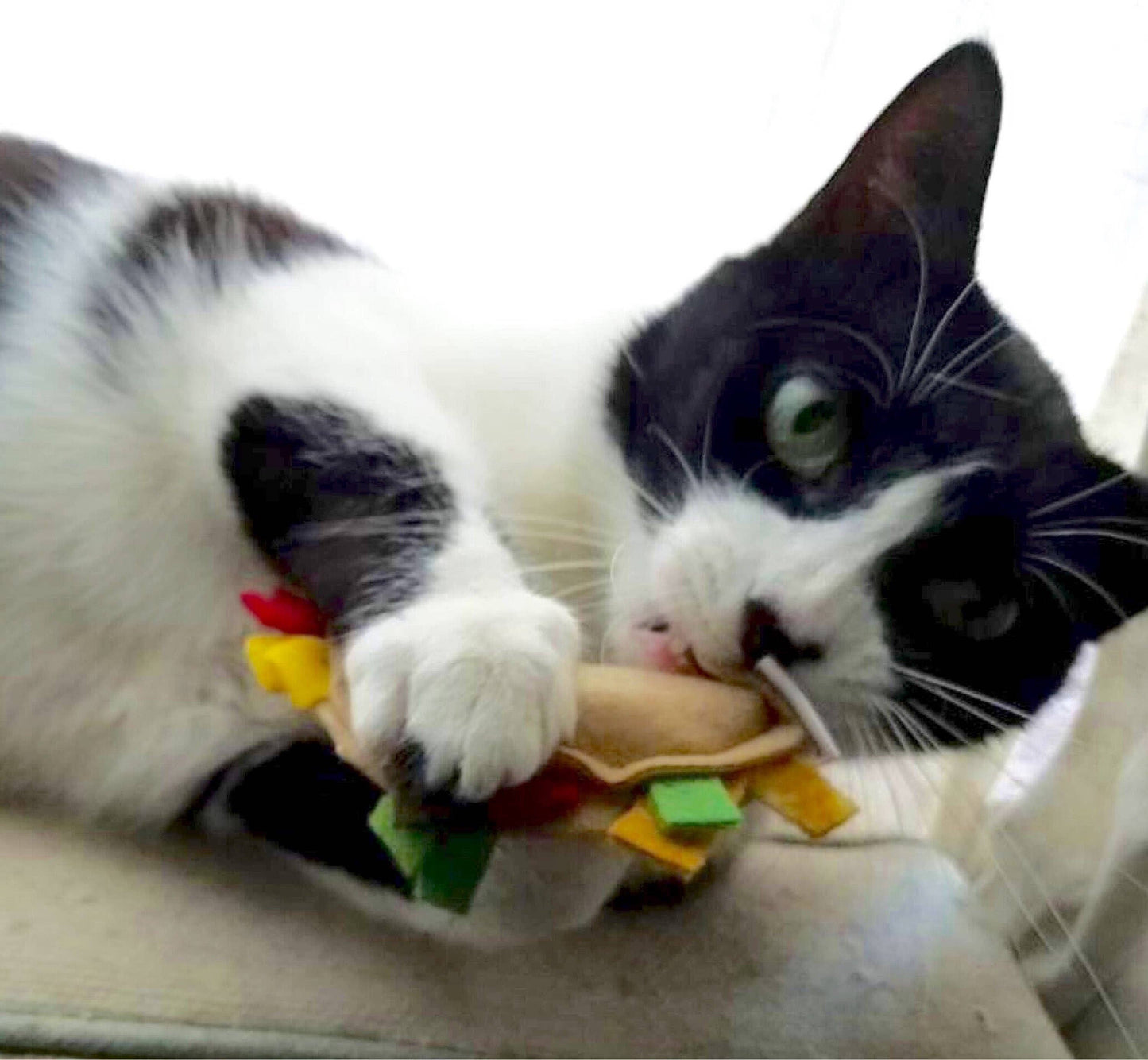 Catnip Taco Cat Toy