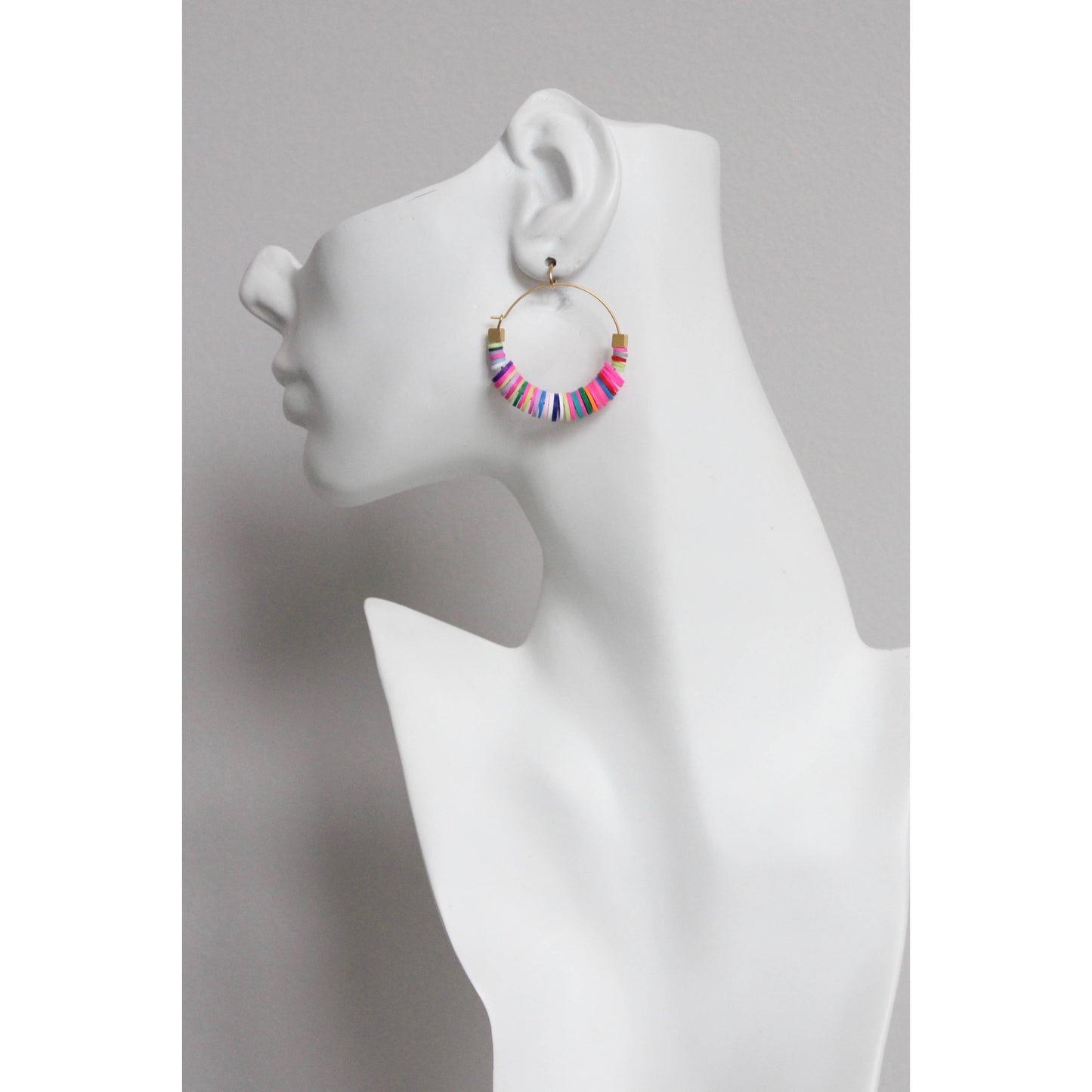 Earrings- Rainbow hoops