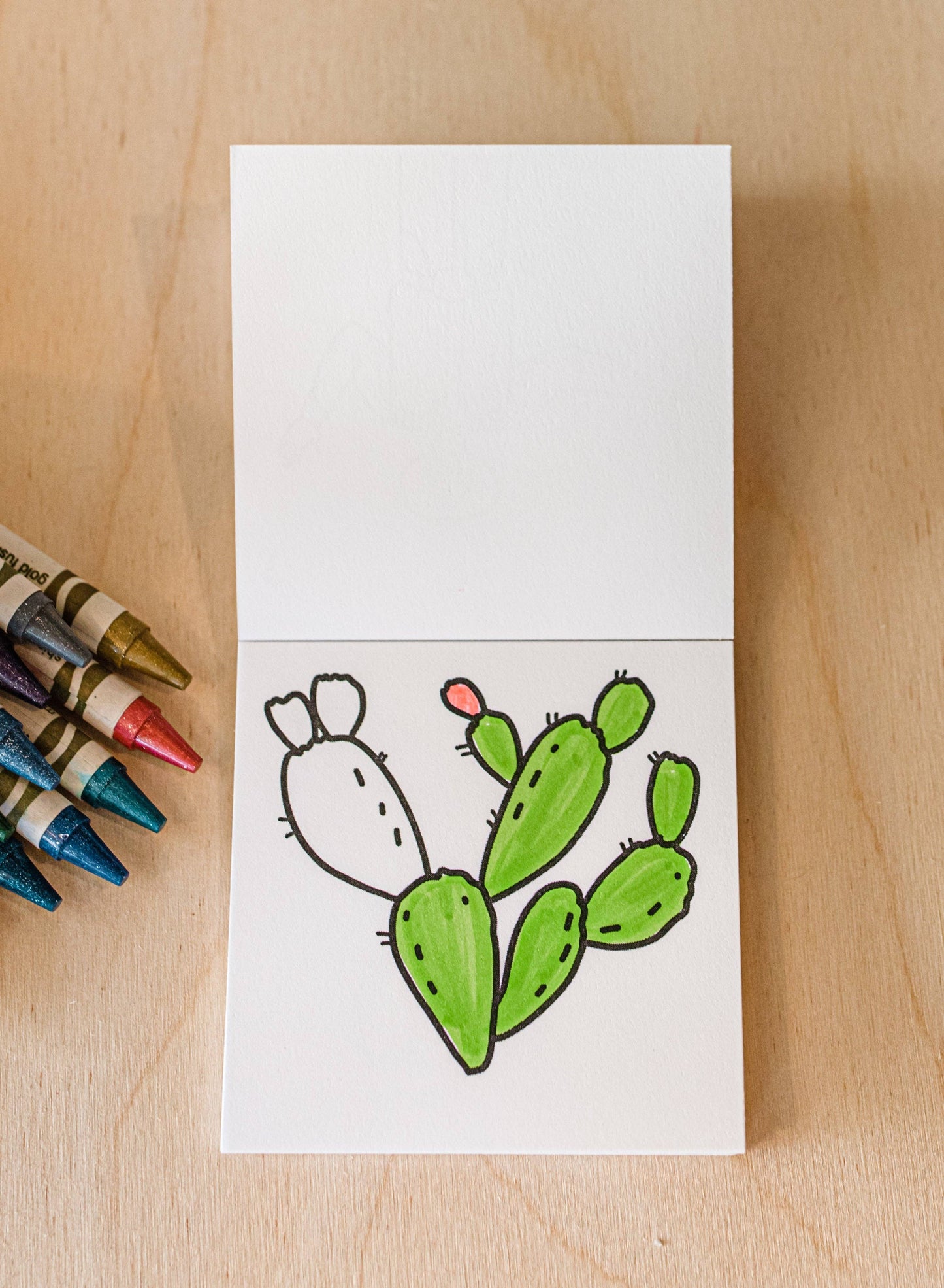 Tiny Texas Themed Illustrations Mini Coloring Book for Adult