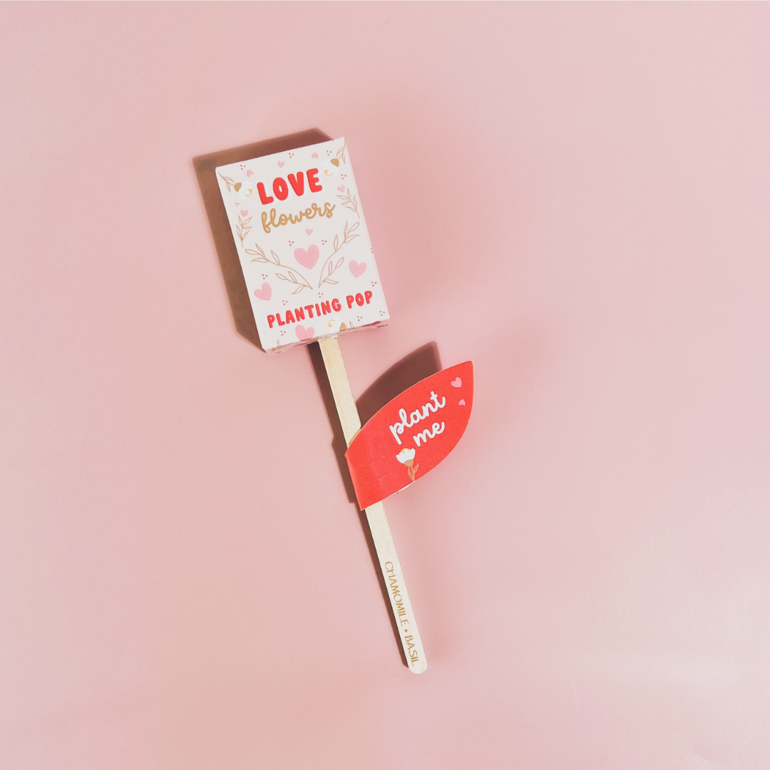 Planting Pop - Love Flowers Seeds