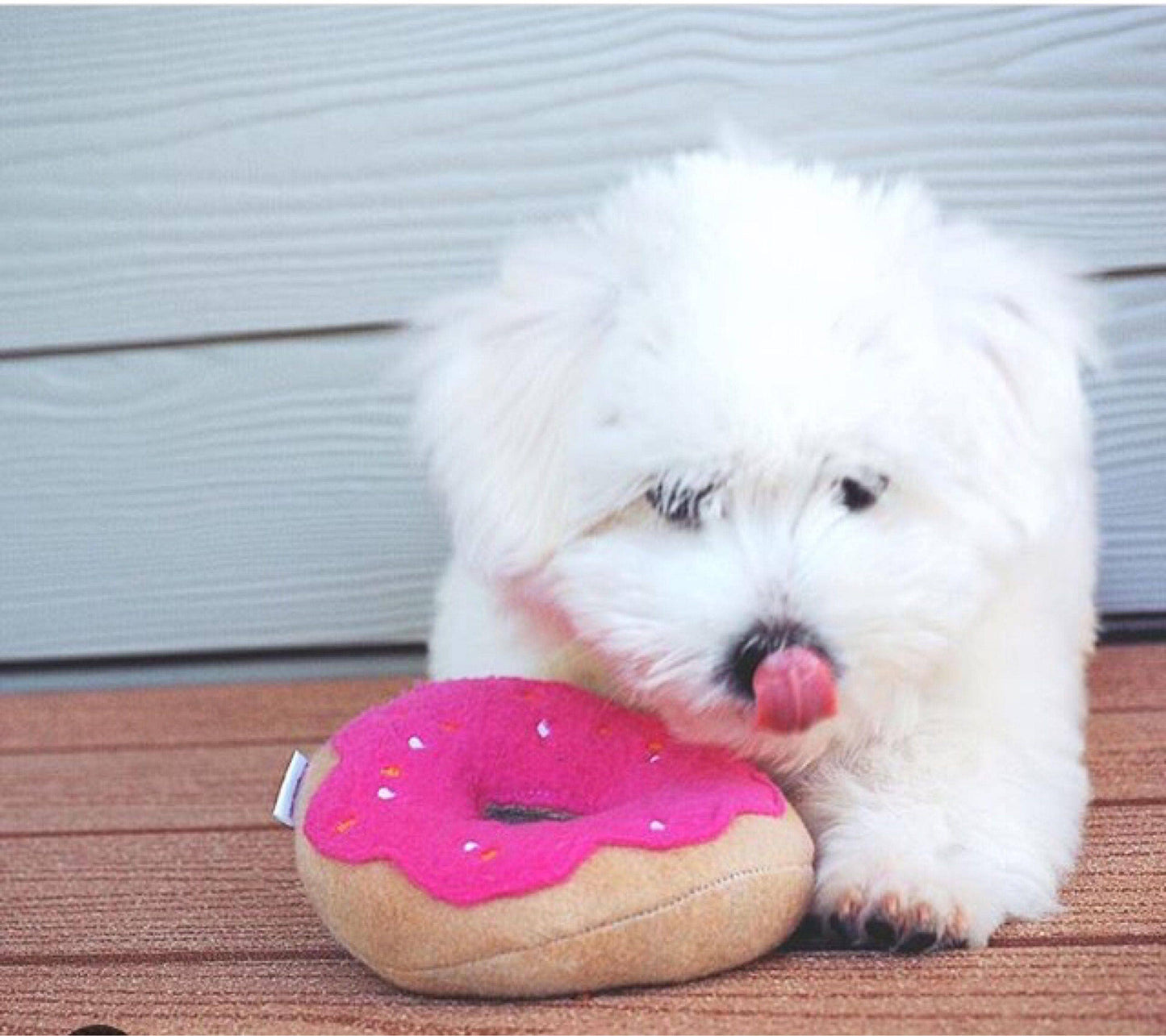 Squeaky Dog Donut toys