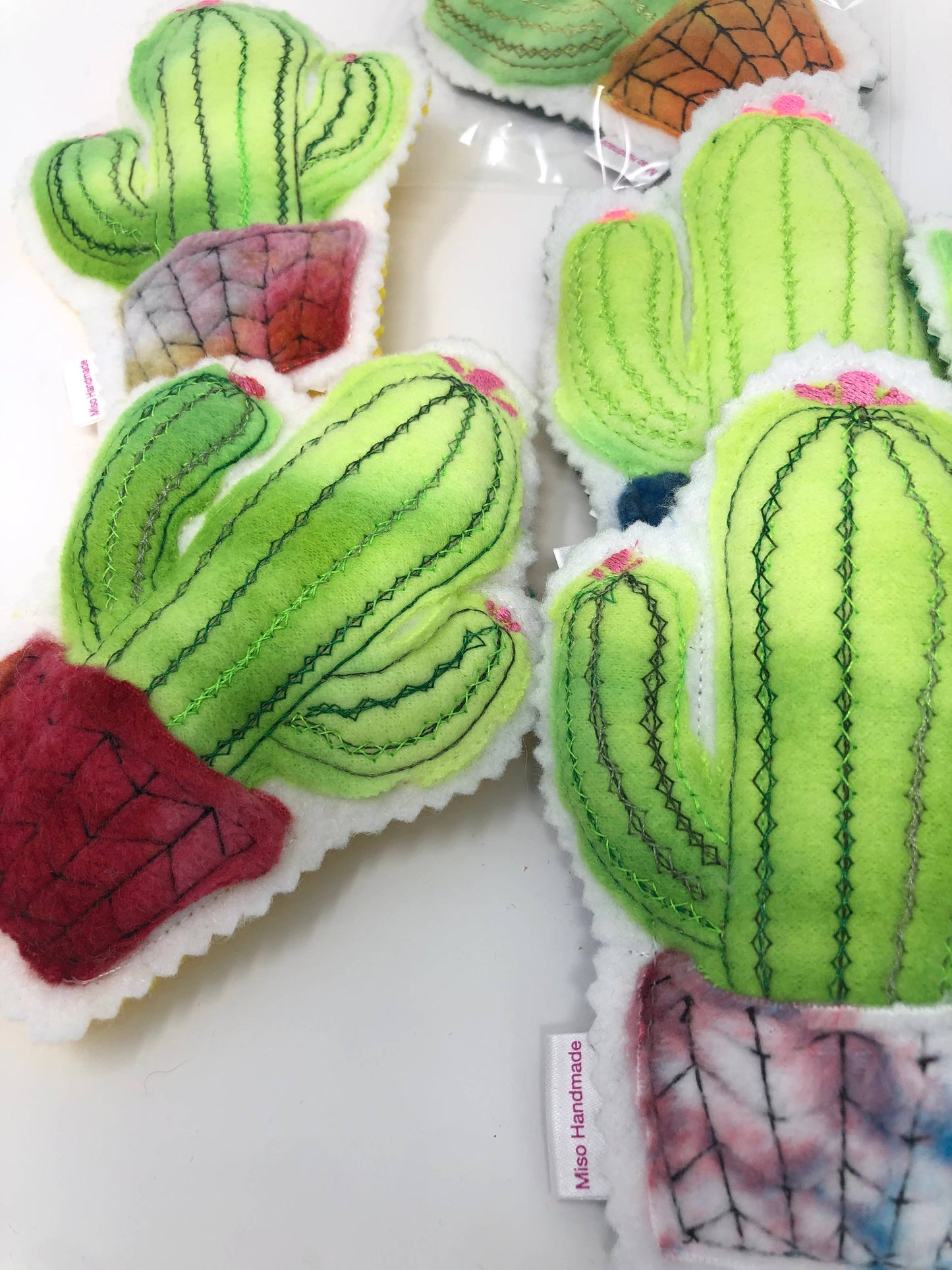 Catnip Cactus 