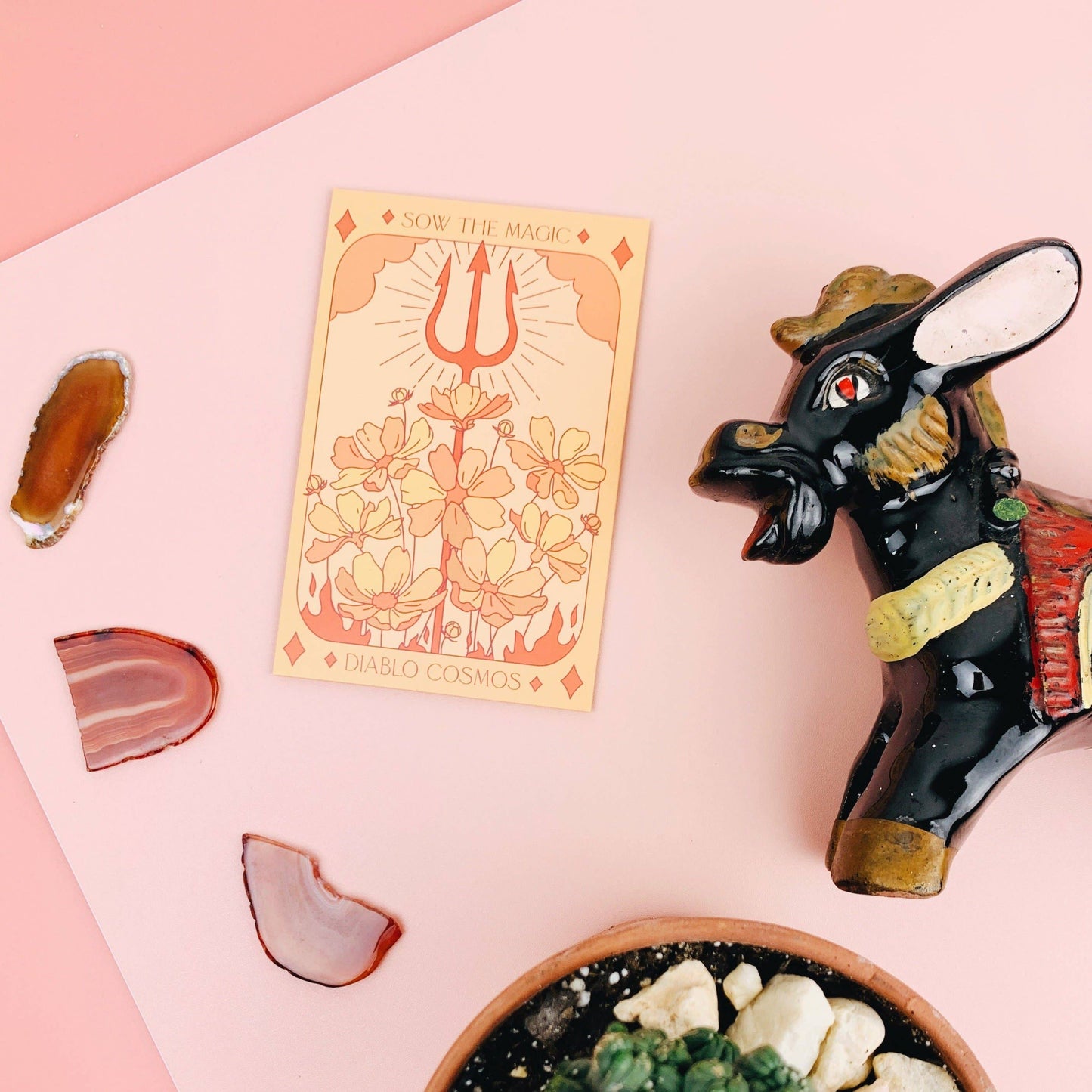 Seed Packet- Diablo Cosmos Tarot Garden + Gift
