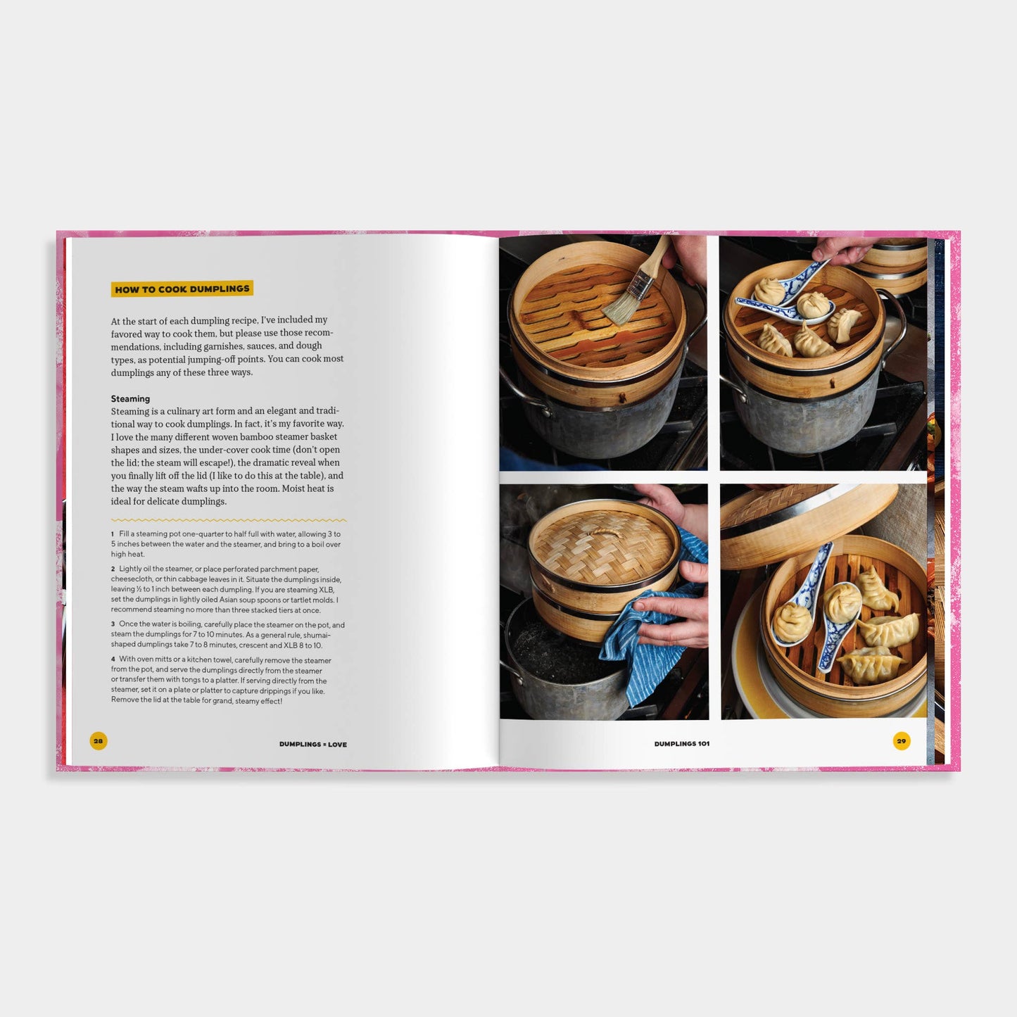 Dumplings Equal Love: Recipes from Around the World