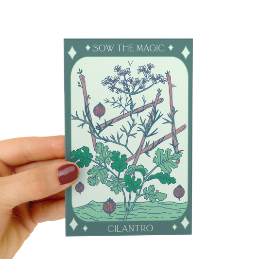 Cilantro Coriander Tarot Seed Packet