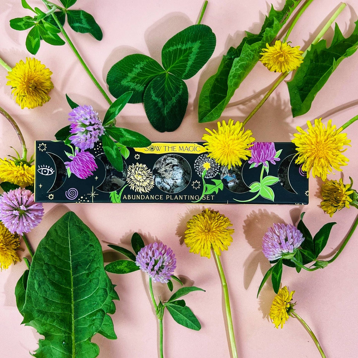 Seed Ball Set- Moon Phase Abundance