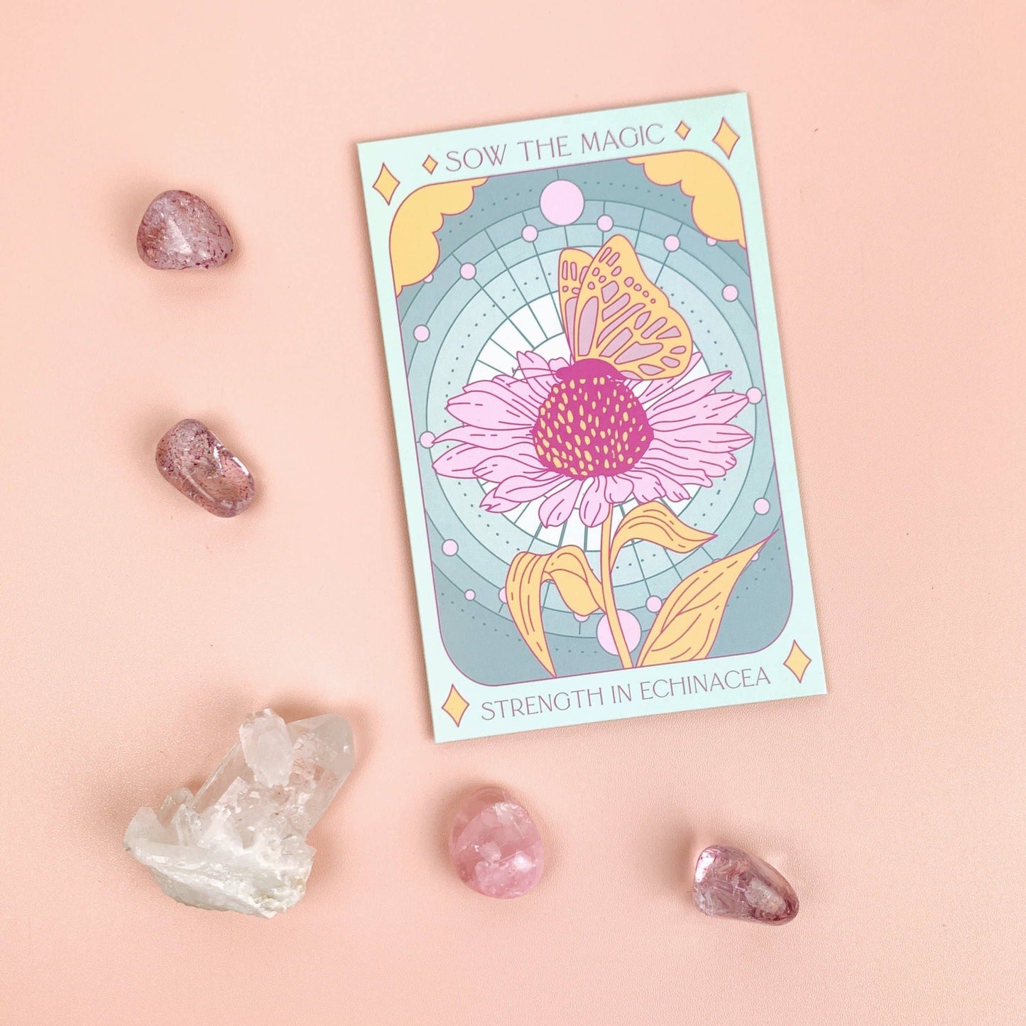 Seed Packet- Strength in Echinacea Flower Tarot Garden + Gift