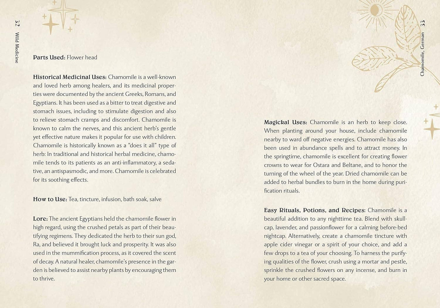 Wild Medicine: Illustrated Guide to the Magick of Herbs