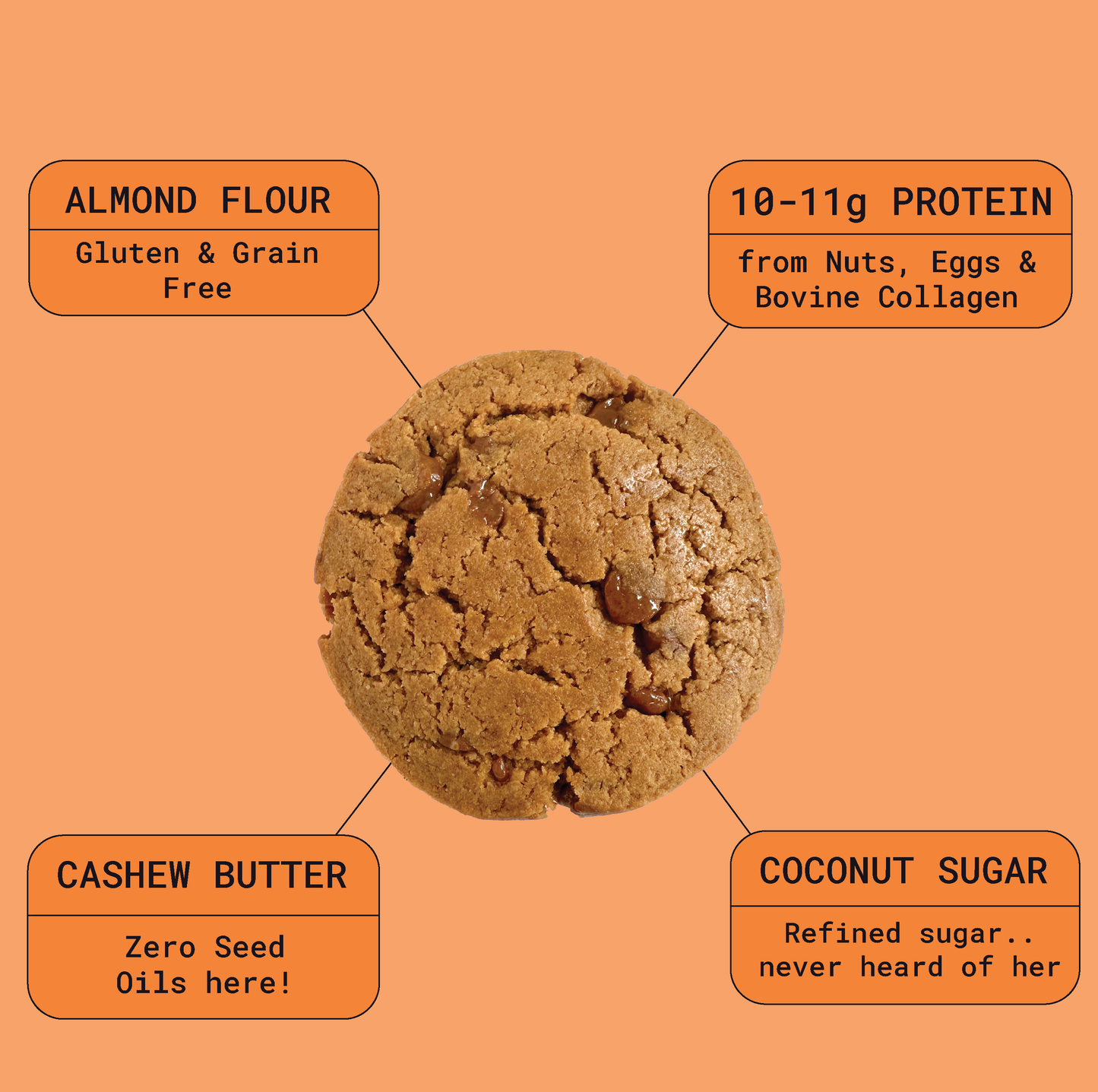 Peanut Butter Protein Cookie