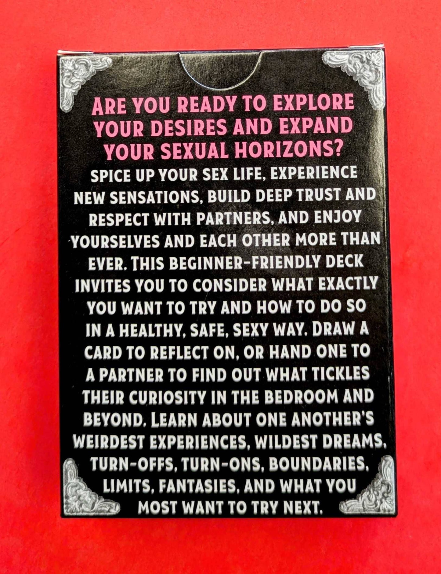 Kinky Conversation Deck: What Turns You On?