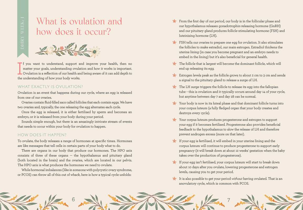 My Wellness Journal by Melissa Christie