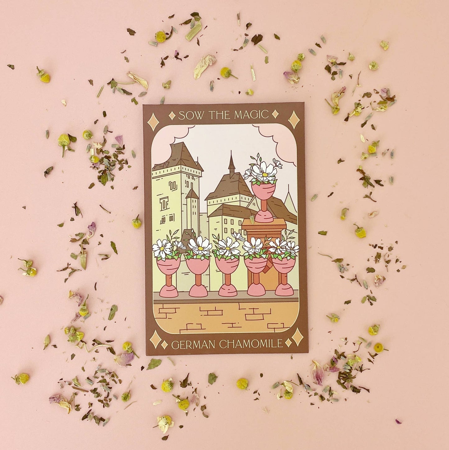 Seed Packet- German Chamomile Tarot Garden + Gift