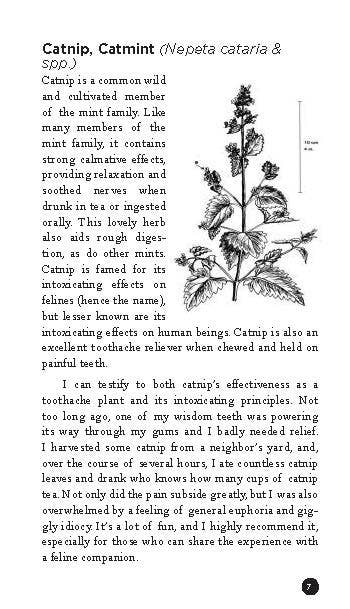 How to Eat Weeds: Medicinal & Utilitarian Common Plants